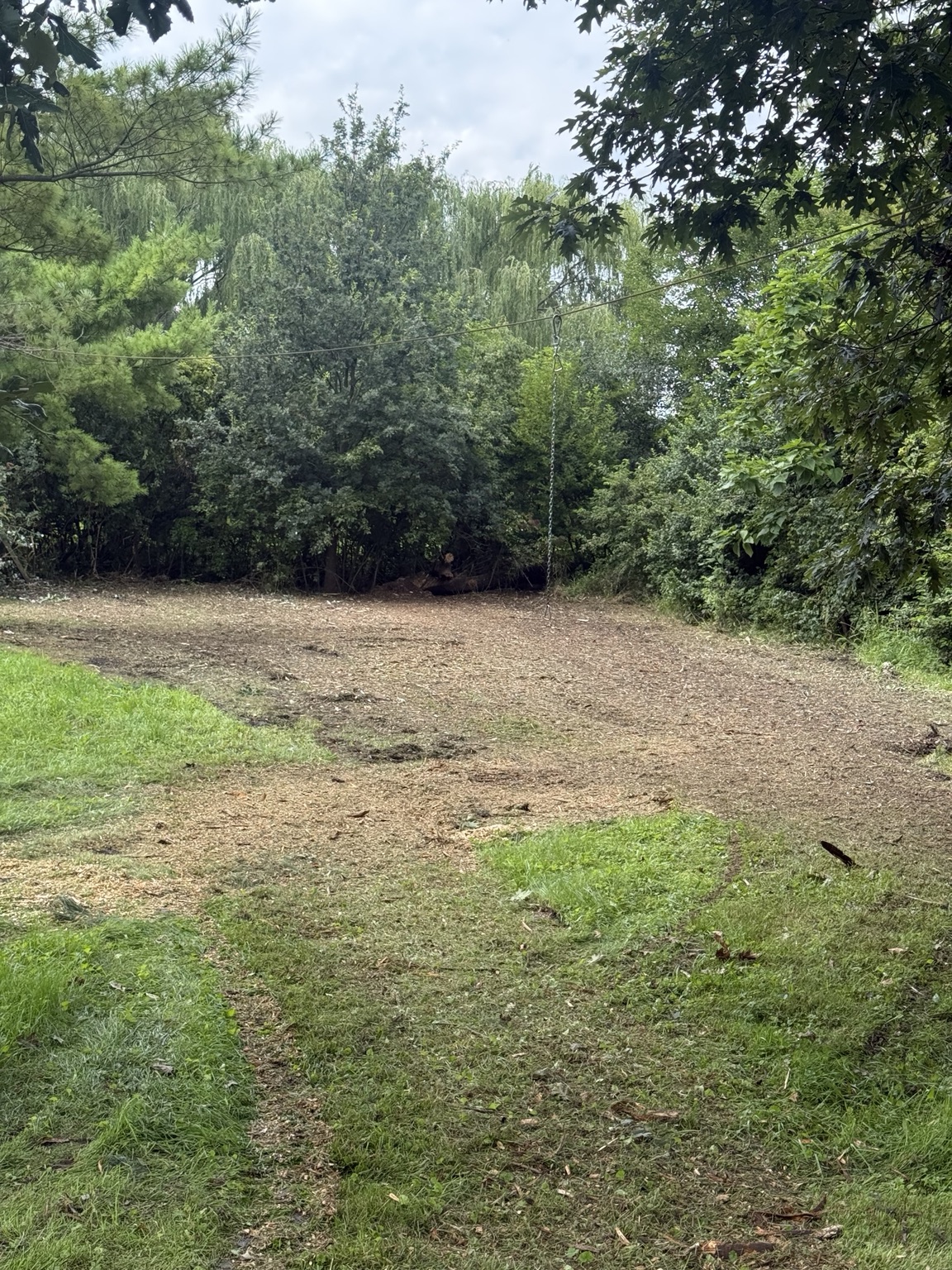 Property after brush and tree clearing
