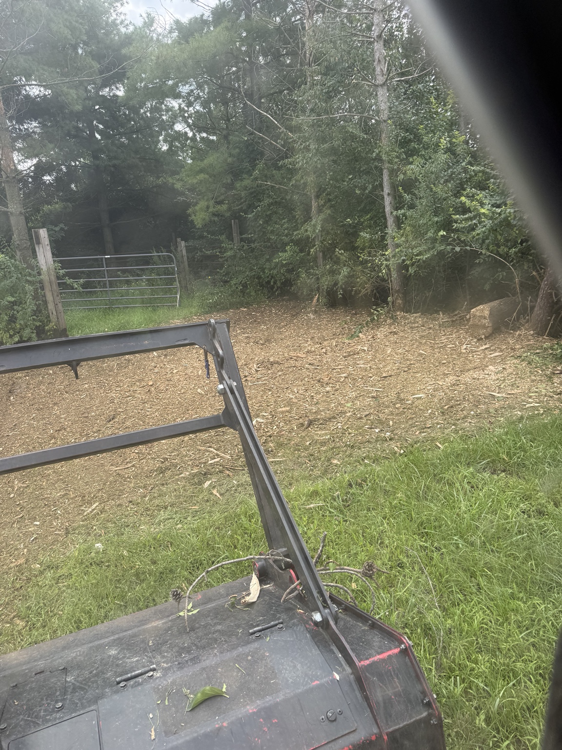 Forestry mulching in progress on a wooded property
