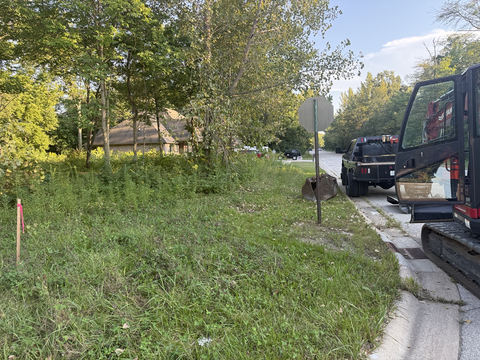Overgrown roadside property before clearing