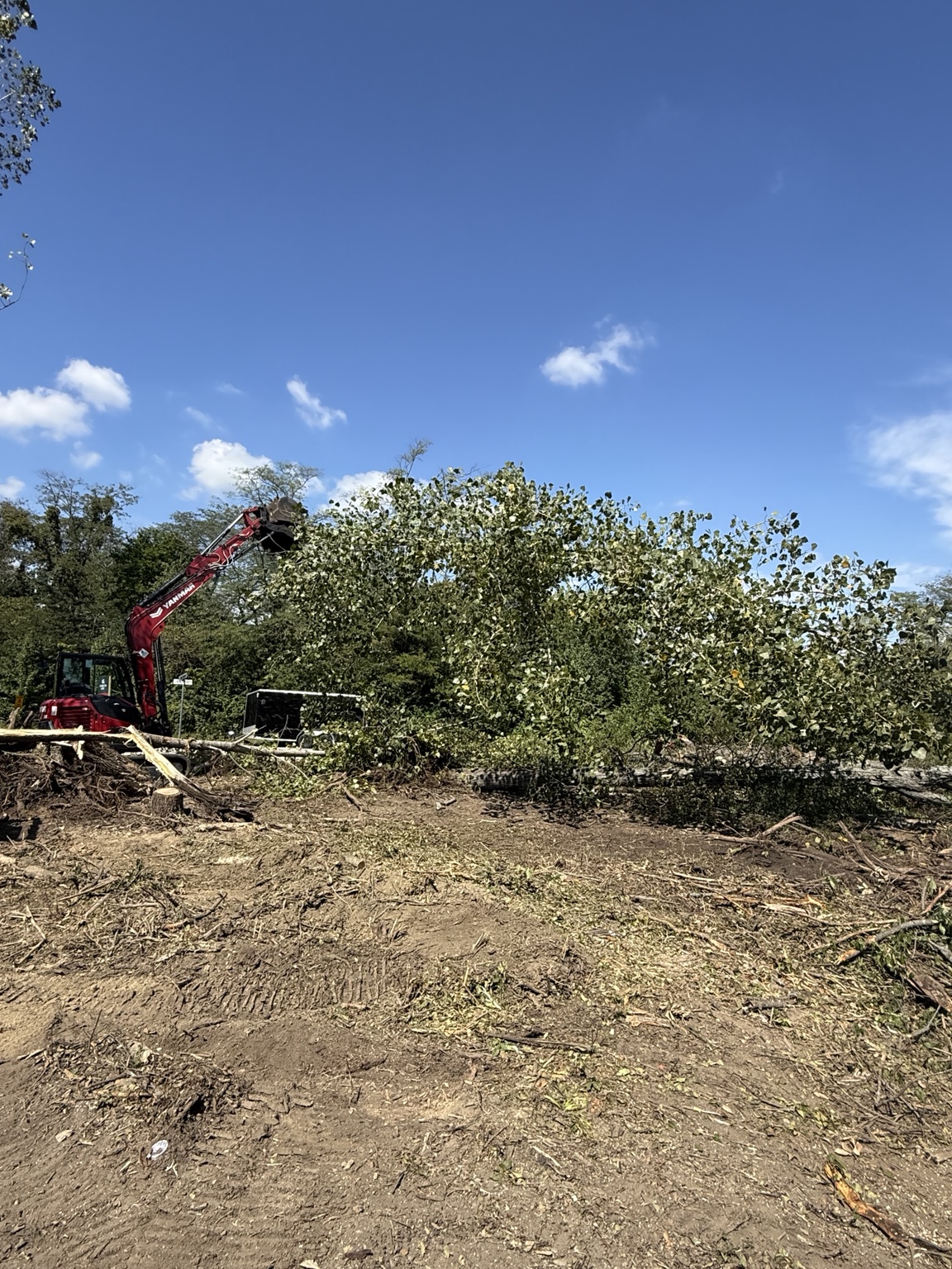 Ground Force Contracting excavator clearing trees from a property